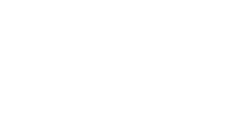 schindler logo grau